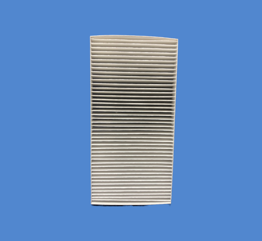 FILTRO CABINA INTERNATIONAL WORLD STAR 03-10